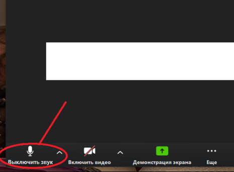 Убери микрофон. Как отключить микрофон в Zoom. Zoom как выключить микрофон. Как в Zoom отключить микрофон и камеру. Отключается микрофон в зуме.
